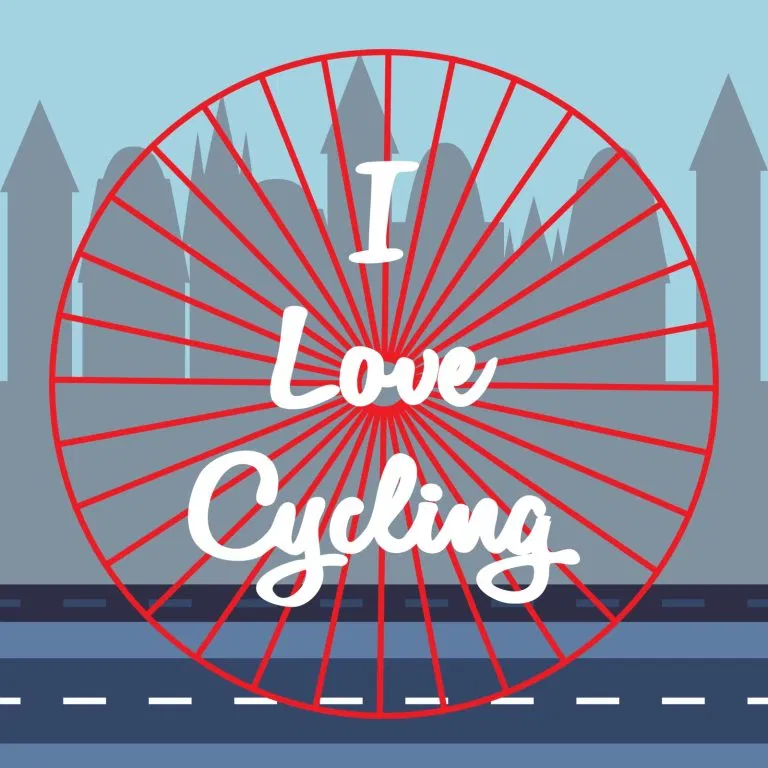 Rear Bike Racks: Why They're the Key to Unlocking New Trails!