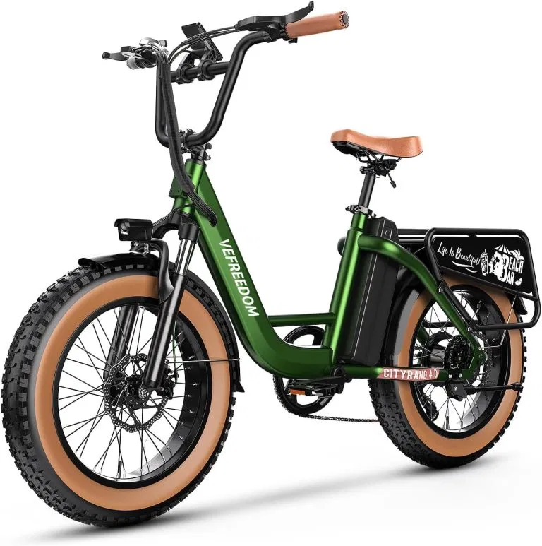Fat Tire E-Bikes